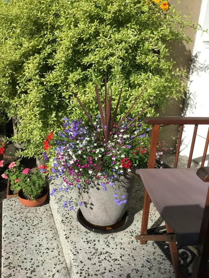 Alberta Guest House Данди Отель типа 